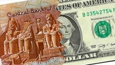 استقرار أسعار الدولار مقابل الجنيه المصري