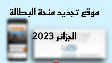 رابط تجديد منحة البطالة في الجزائر 2023