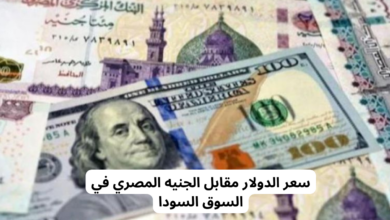 سعر الدولار اليوم مقابل الجنيه المصري في السوق السوداء والبنوك--