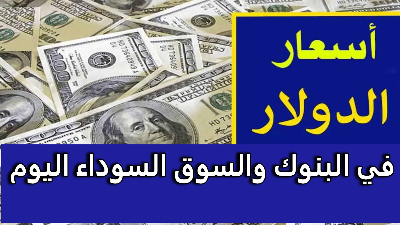 سعر الدولار اليوم في السوق السوداء والبنوك المصرية يحرز سعرا جديدا