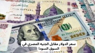 سعر الدولار مقابل الجنيه في السوق السوداء والبنوك المصرية